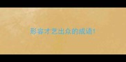 形容才艺出众的成语