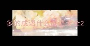 多的成语什么成语大全