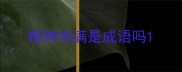 精神饱满是成语吗