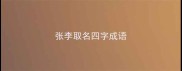 张李取名四字成语