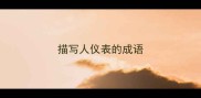 描写人仪表的成语