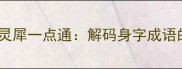 身无彩凤双飞翼心有灵犀一点通解码身字成语的文化内涵与实用技巧