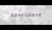 成语字什么成语大全