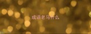 成语老马什么