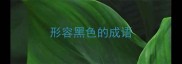 形容黑色的成语