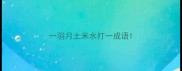 一羽月土米水打一成语