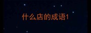 什么店的成语