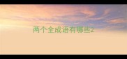 两个全成语有哪些