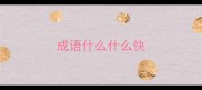 成语什么什么快