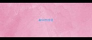 翩字的成语
