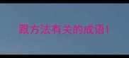 跟方法有关的成语