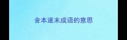 舍本逐末成语的意思