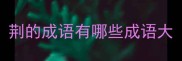 荆的成语有哪些成语大