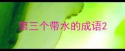 第三个带水的成语
