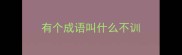 有个成语叫什么不训