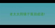 老太太照镜子落泪成语