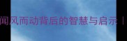 成语毡闻的正确解读闻风而动背后的智慧与启示附100个同类成语推荐
