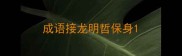 成语接龙明哲保身