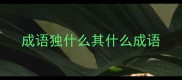 成语独什么其什么成语