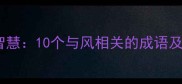 自然风中的智慧10个与风相关的成语及其人生启示