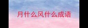 月什么风什么成语