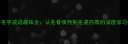 100个毛字成语趣味全从毛骨悚然到毛遂自荐的深度学习指南