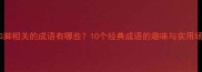 手和脚相关的成语有哪些10个经典成语的趣味与实用场景