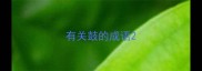 有关鼓的成语