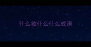 什么袖什么什么成语
