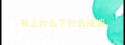 有上什么下什么成语