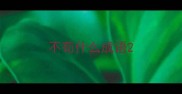 不苟什么成语