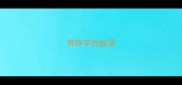 带铮字的成语