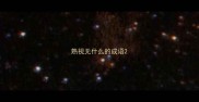 熟视无什么的成语