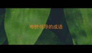 夸赞领导的成语