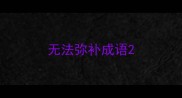 无法弥补成语