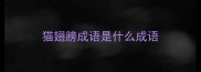 猫翅膀成语是什么成语