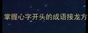 高效学习技巧掌握心字开头的成语接龙方法与实用练习