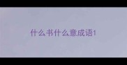 什么书什么意成语