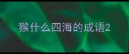猴什么四海的成语
