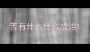苦有什么什么成语