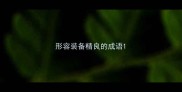 形容装备精良的成语