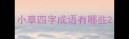 小草四字成语有哪些