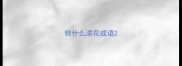 锦什么添花成语