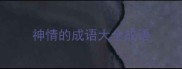 神情的成语大全成语