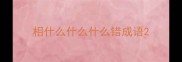 相什么什么什么错成语