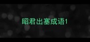 昭君出塞成语