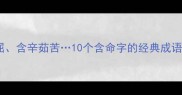 含冤负屈含辛茹苦10个含命字的经典成语及详细