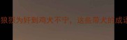 犬字成语大全从狼狈为奸到鸡犬不宁这些带犬的成语你全知道了吗