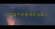 交雪成语有哪些成语