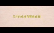 天并的成语有哪些成语